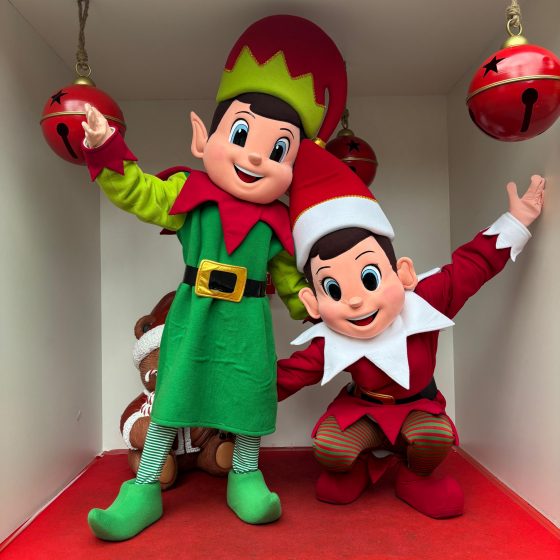 Elfos de Natal